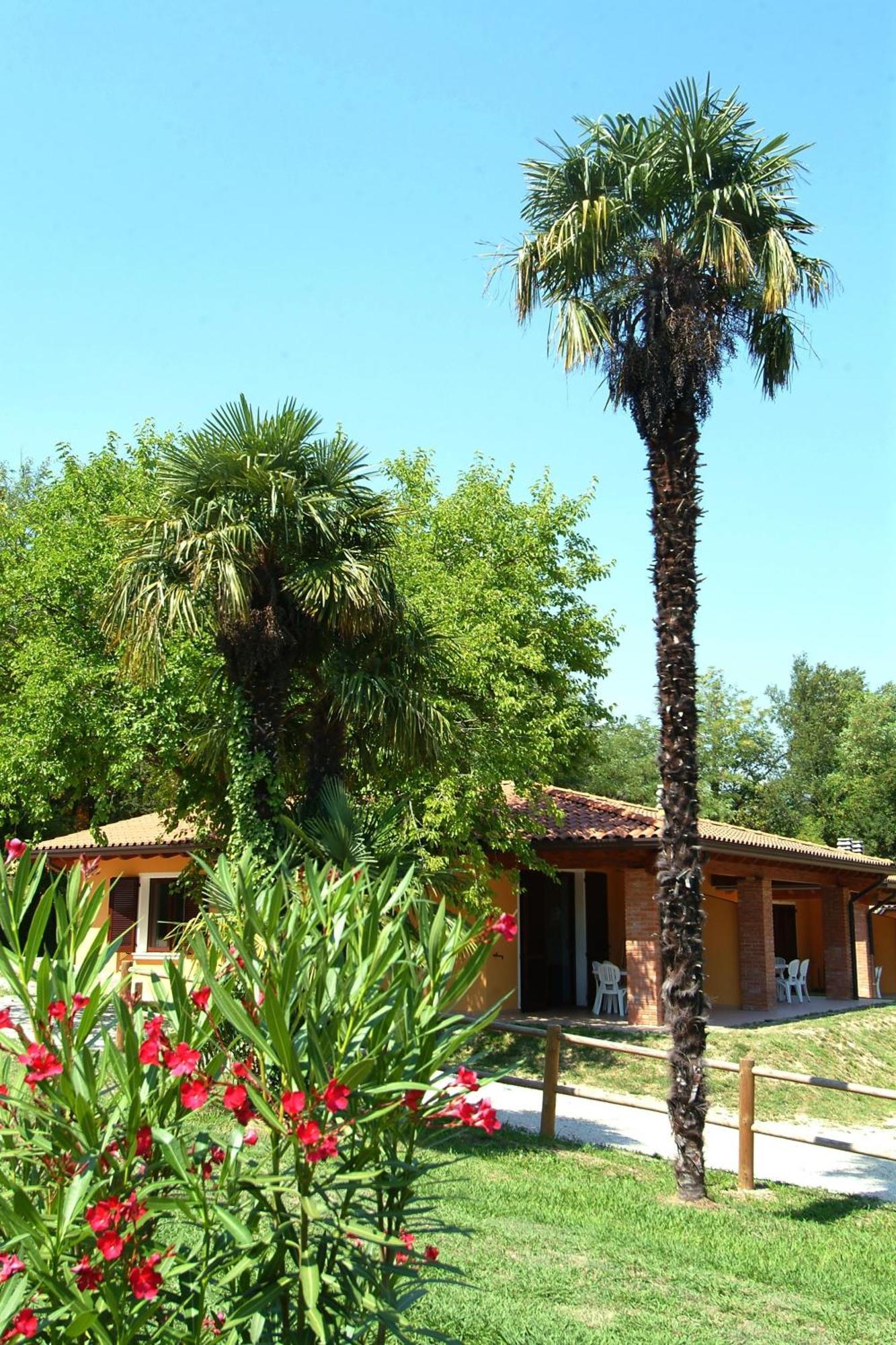 Camping Zocco Manerba del Garda Dış mekan fotoğraf